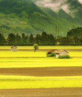 Grsch Graubnden Switzerl